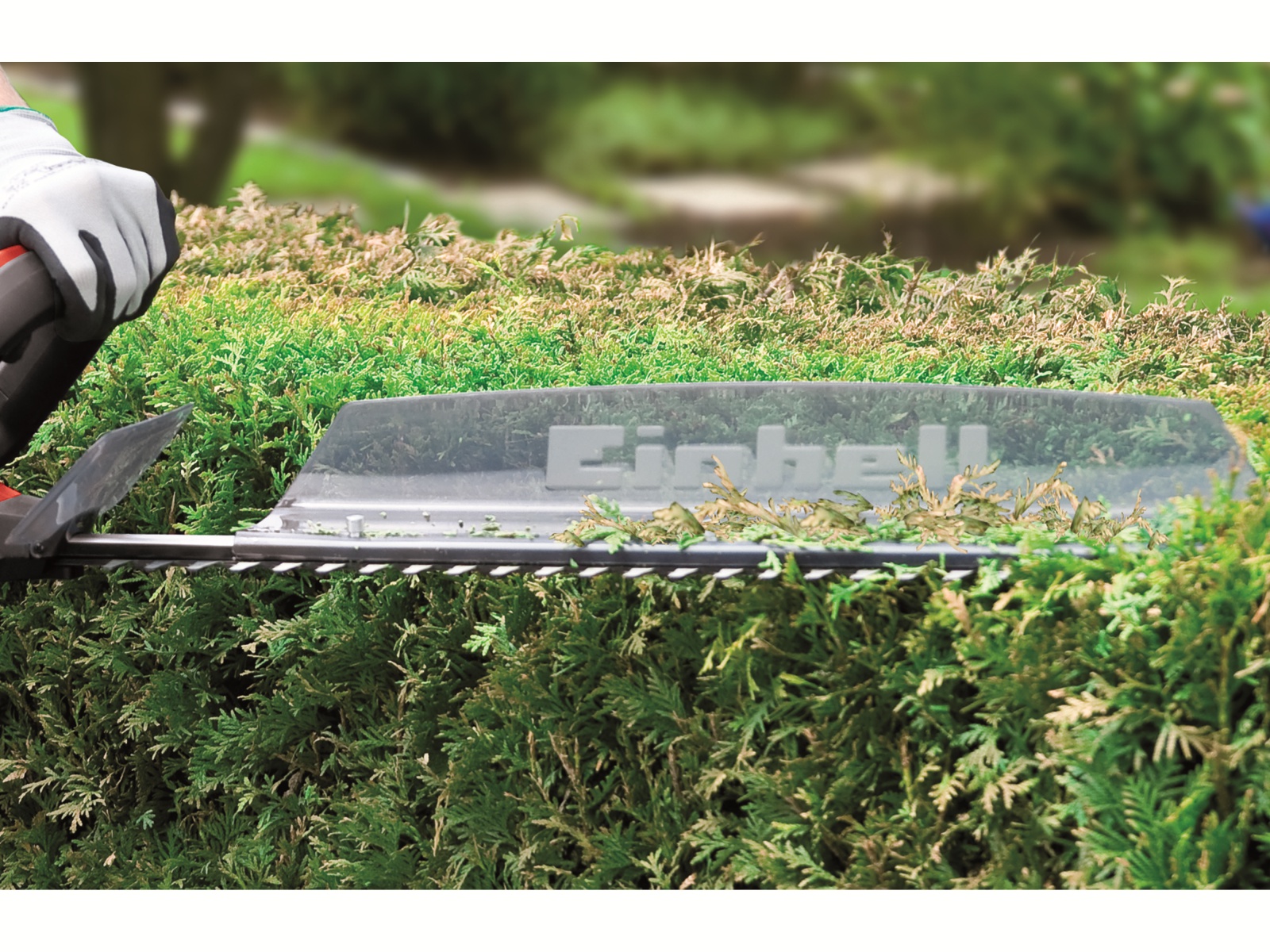 EINHELL Akku-Heckenschere GC-CH 1855/1 Li - Solo