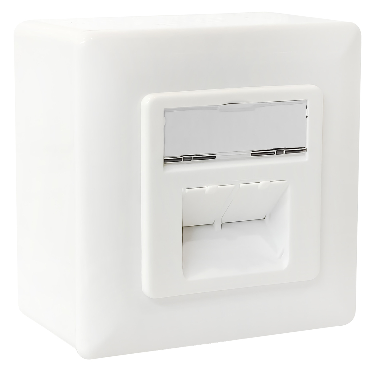 RED4POWER CAT.5e Datendose R4-N102, AP/UP