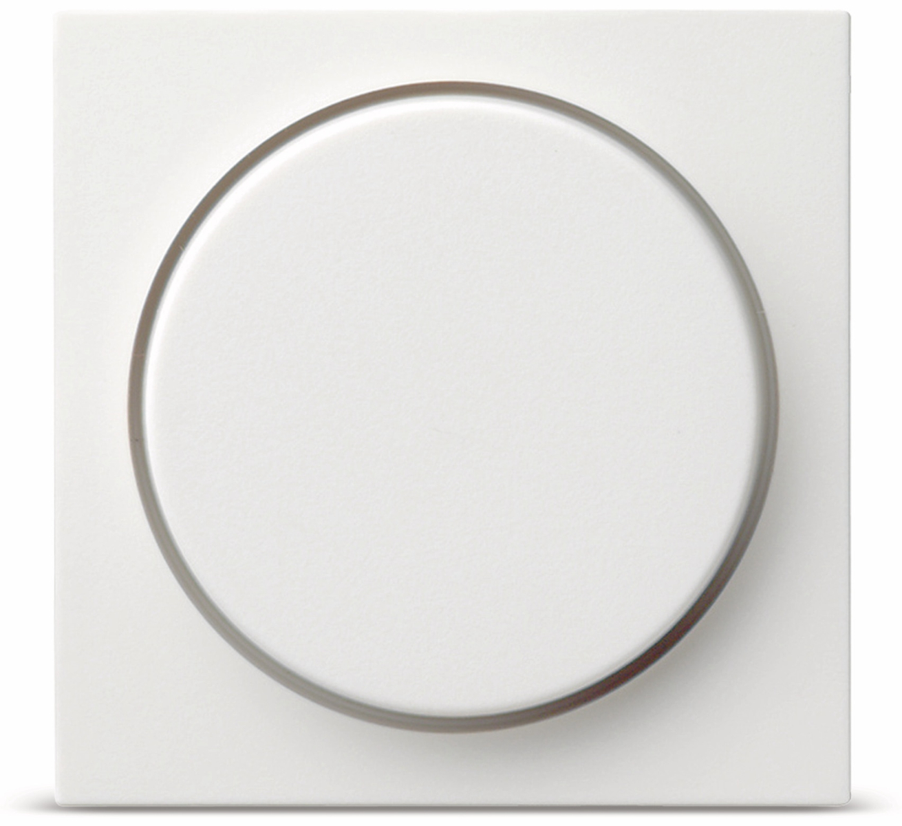 065003  - Abdeckung rws-gl f.Drehdimmer 065003