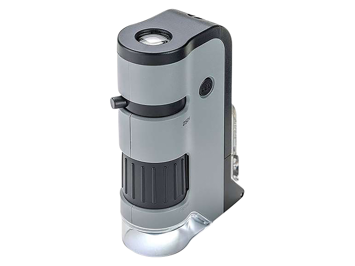 Sintron Entdecken Sie die faszinierende | 00750668013040